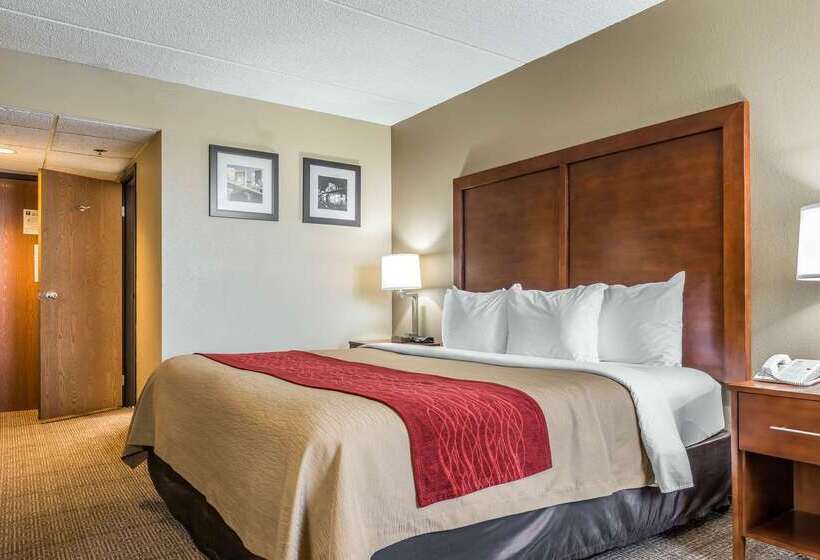 Отель Comfort Inn Cranberry Twp