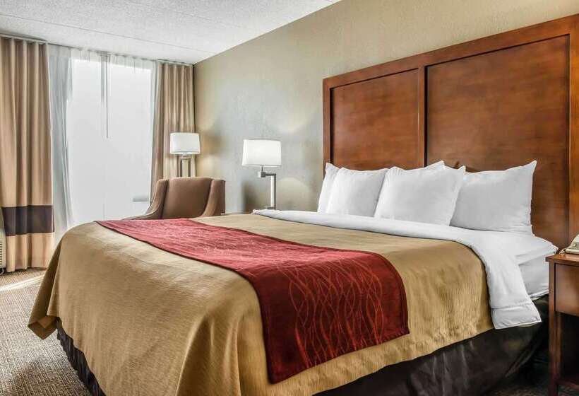 Отель Comfort Inn Cranberry Twp