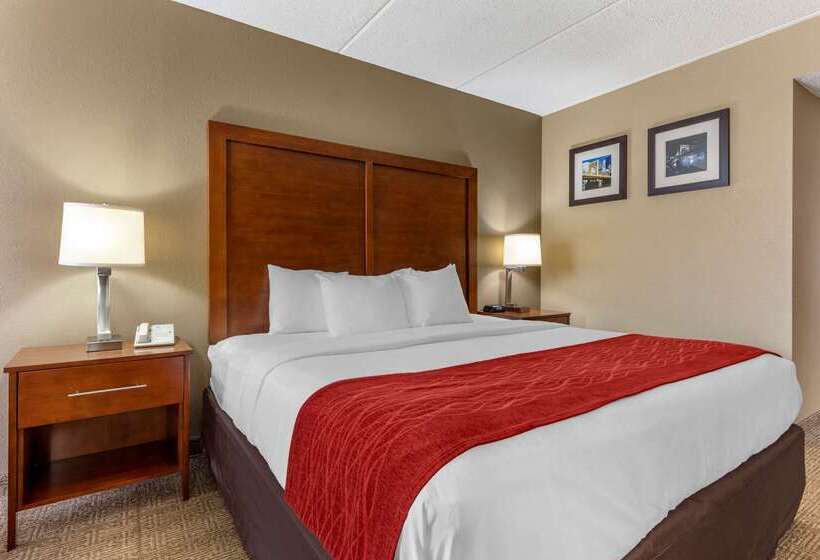 Отель Comfort Inn Cranberry Twp