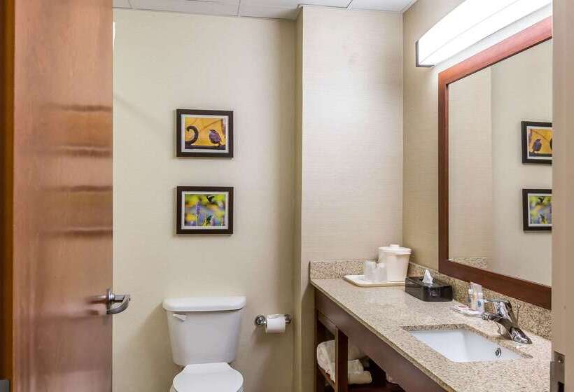 فندق Comfort Inn