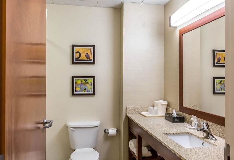 فندق Comfort Inn