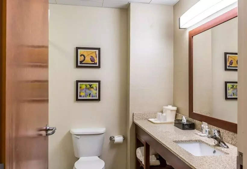 Отель Comfort Inn