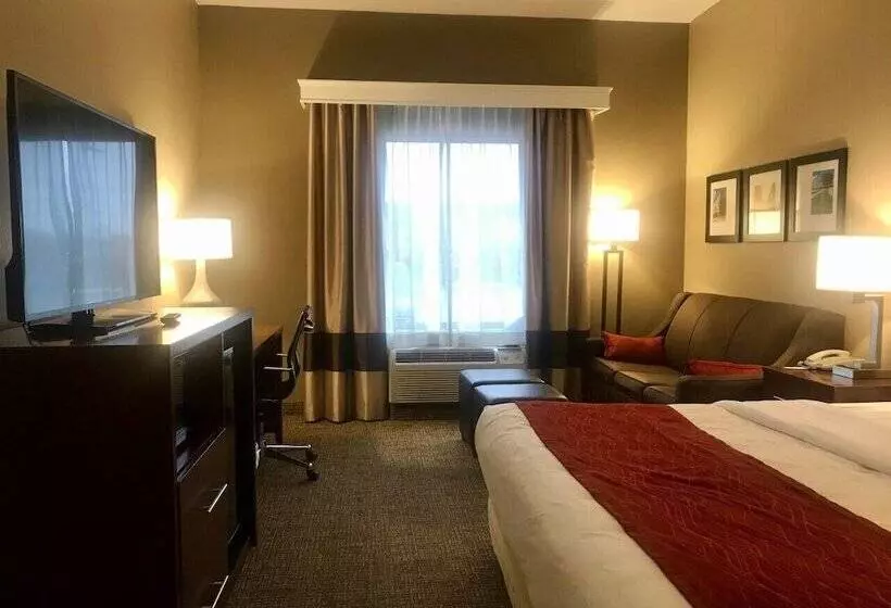 Отель Comfort Inn