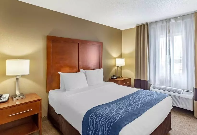 فندق Comfort Inn Gurnee Near Six Flags