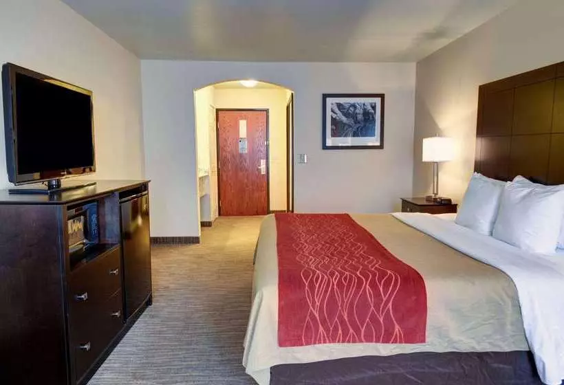 酒店 Comfort Inn & Suites