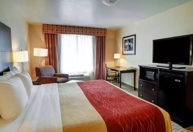 酒店 Comfort Inn & Suites