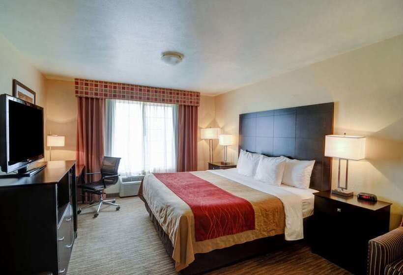 فندق Comfort Inn & Suites