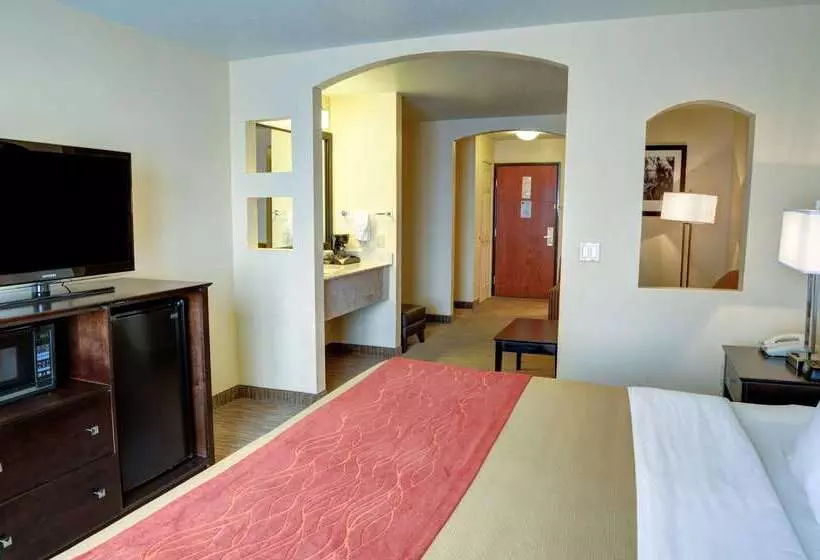 酒店 Comfort Inn & Suites