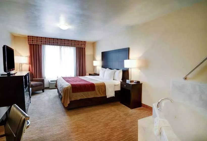 酒店 Comfort Inn & Suites