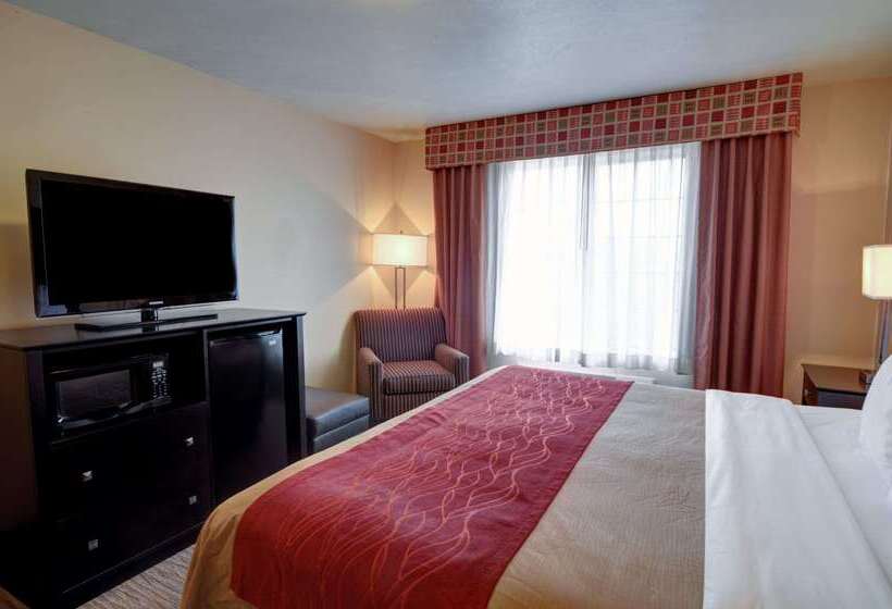 فندق Comfort Inn & Suites