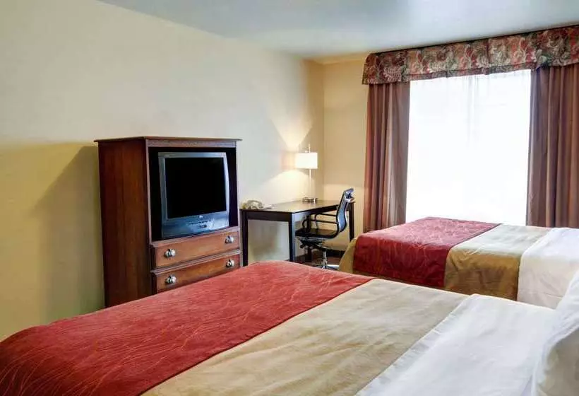 酒店 Comfort Inn & Suites