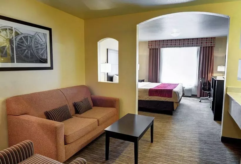 酒店 Comfort Inn & Suites