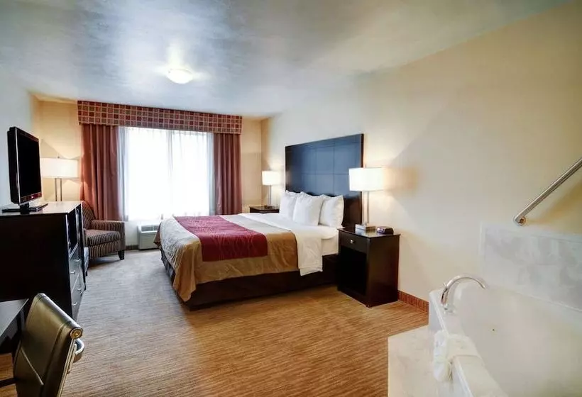 酒店 Comfort Inn & Suites