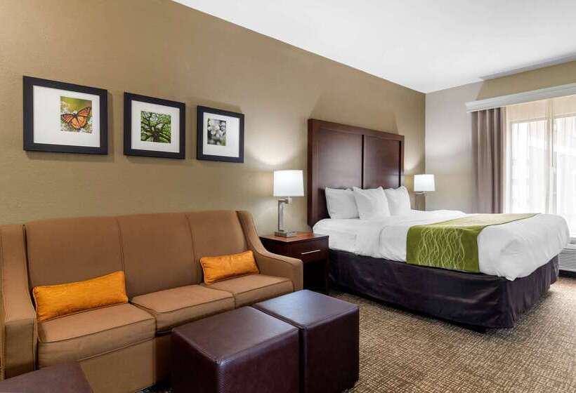 בית מלון כפרי Comfort Inn And Suites Griffin