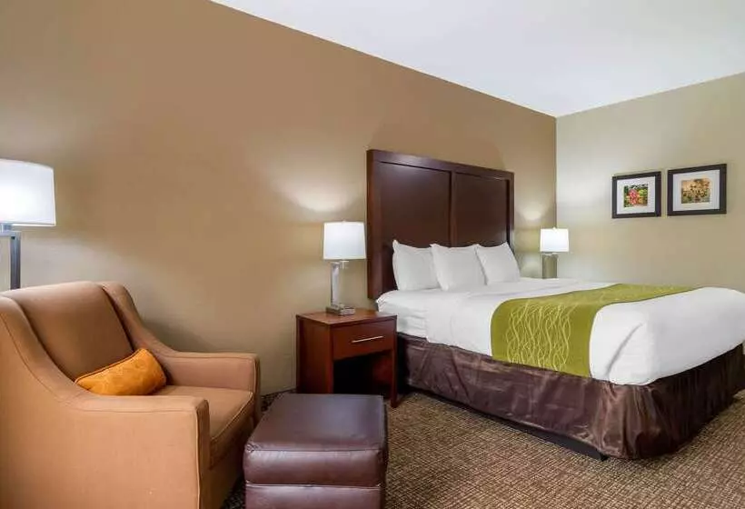 호텔 Comfort Inn And Suites Griffin