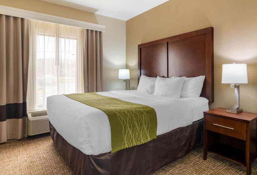 בית מלון כפרי Comfort Inn And Suites Griffin