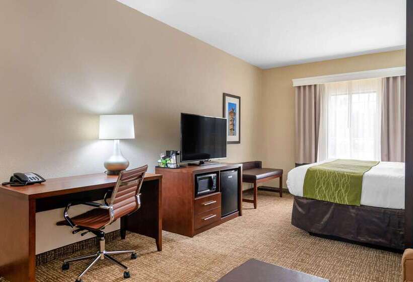 בית מלון כפרי Comfort Inn And Suites Griffin