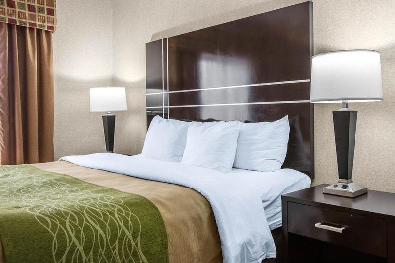 בית מלון כפרי Comfort Inn And Suites Griffin