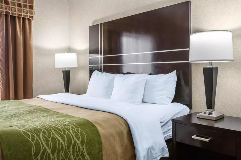 호텔 Comfort Inn And Suites Griffin