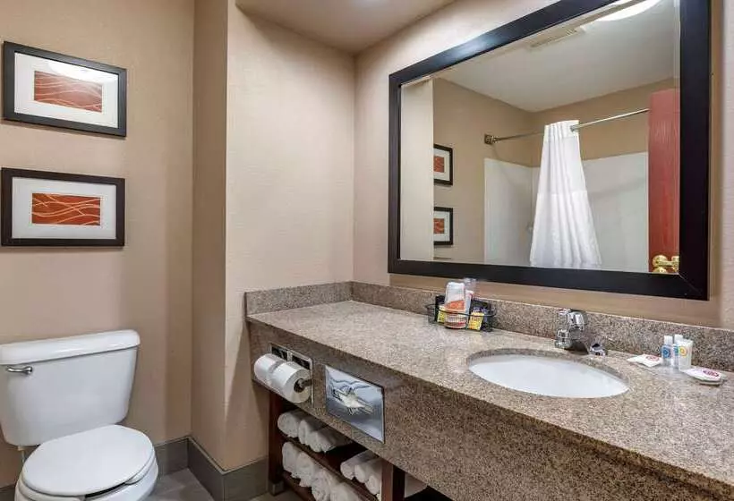 호텔 Comfort Inn & Suites