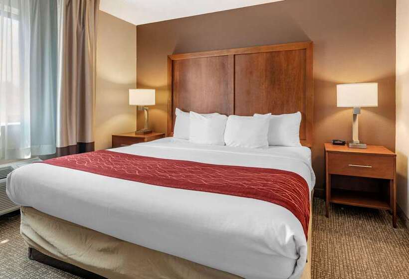 Отель Comfort Inn & Suites