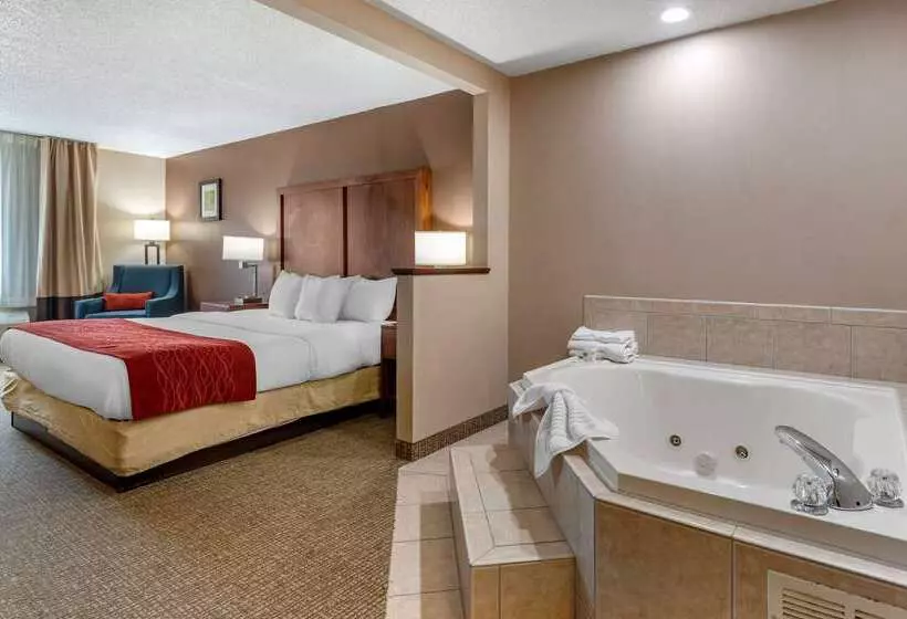 호텔 Comfort Inn & Suites