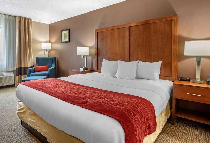 Отель Comfort Inn & Suites