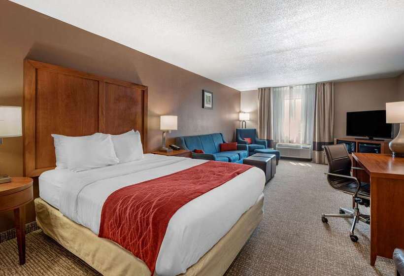Отель Comfort Inn & Suites