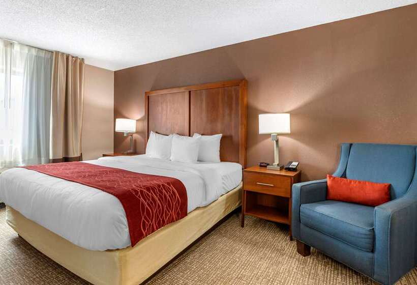 Отель Comfort Inn & Suites