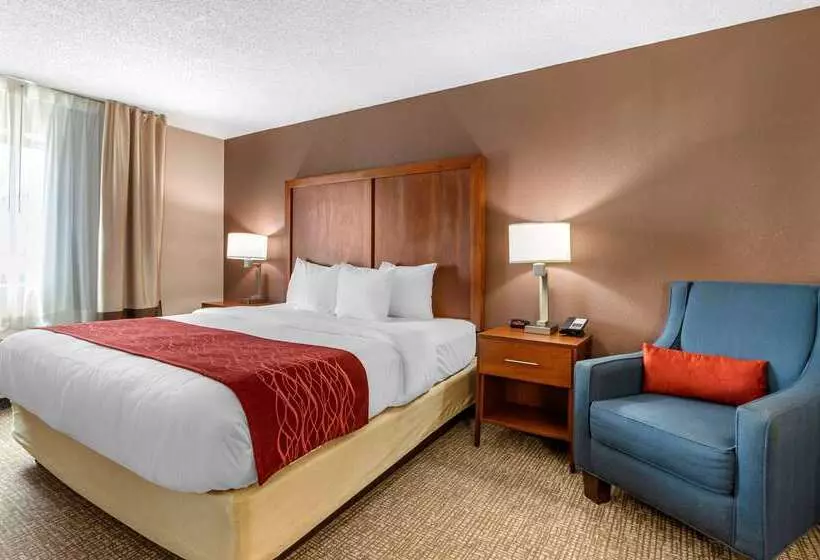 호텔 Comfort Inn & Suites