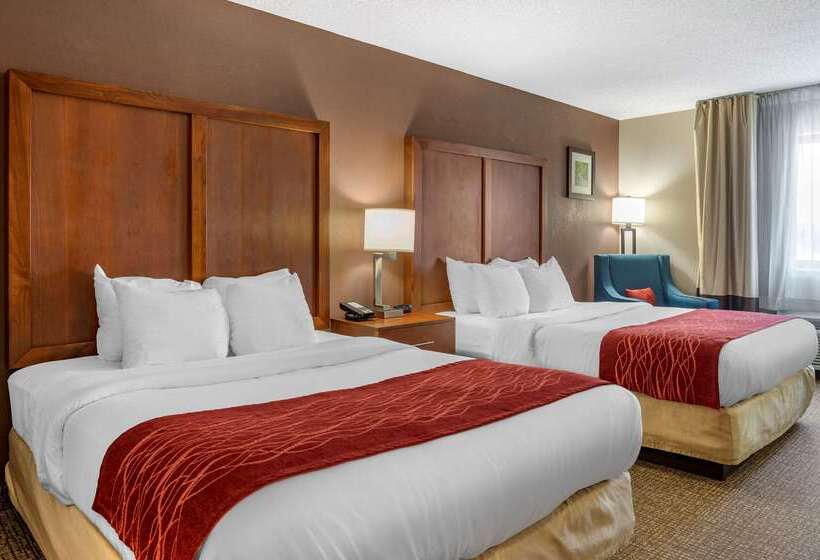Отель Comfort Inn & Suites