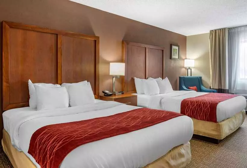 호텔 Comfort Inn & Suites