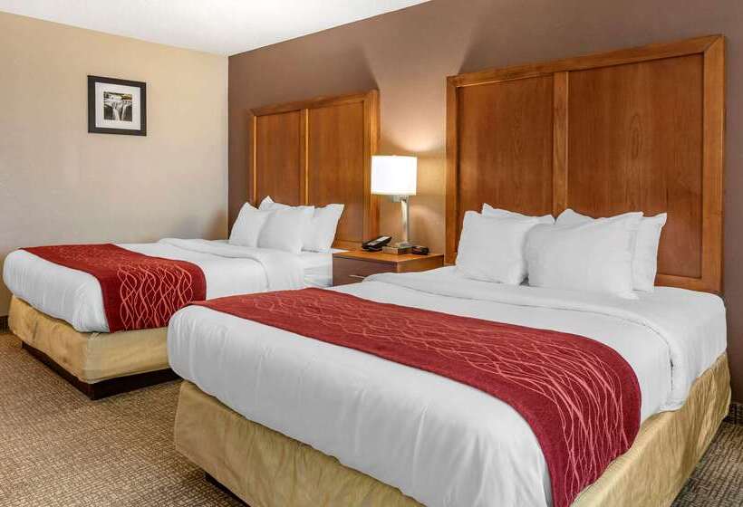 Отель Comfort Inn & Suites