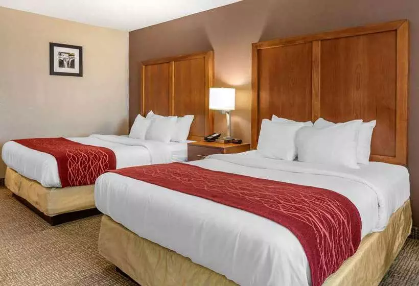 호텔 Comfort Inn & Suites