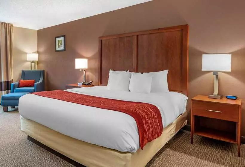 호텔 Comfort Inn & Suites