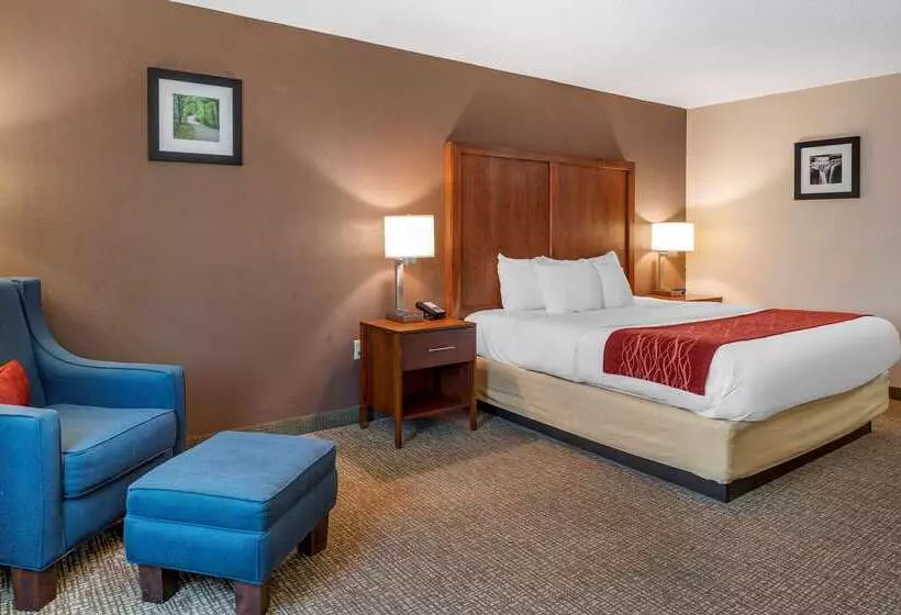 호텔 Comfort Inn & Suites