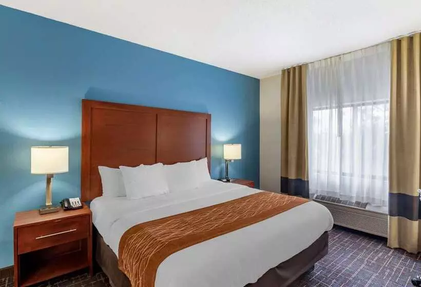 فندق Comfort Inn & Suites Lees Summit  Kansas City