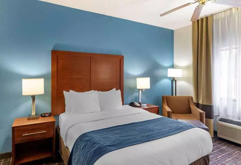 فندق Comfort Inn & Suites Lees Summit  Kansas City