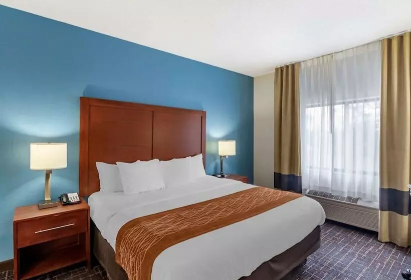 فندق Comfort Inn & Suites Lees Summit  Kansas City