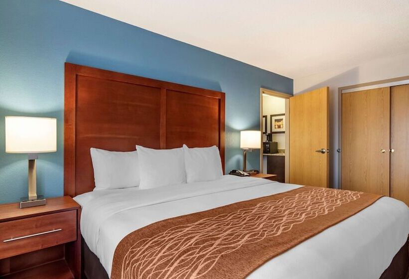 בית מלון כפרי Comfort Inn & Suites Lees Summit  Kansas City