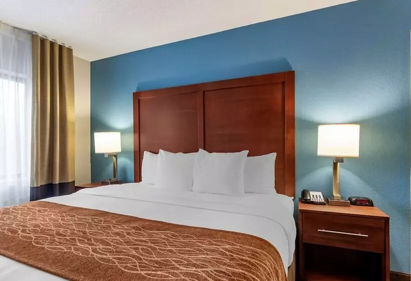 فندق Comfort Inn & Suites Lees Summit  Kansas City