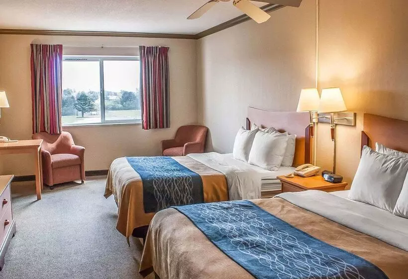 酒店 Comfort Inn & Suites Ocean Shores