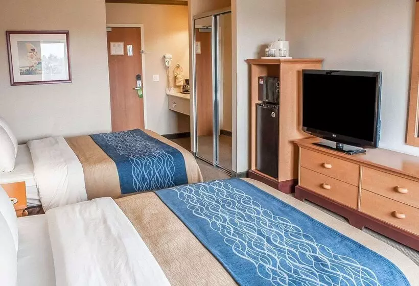 酒店 Comfort Inn & Suites Ocean Shores