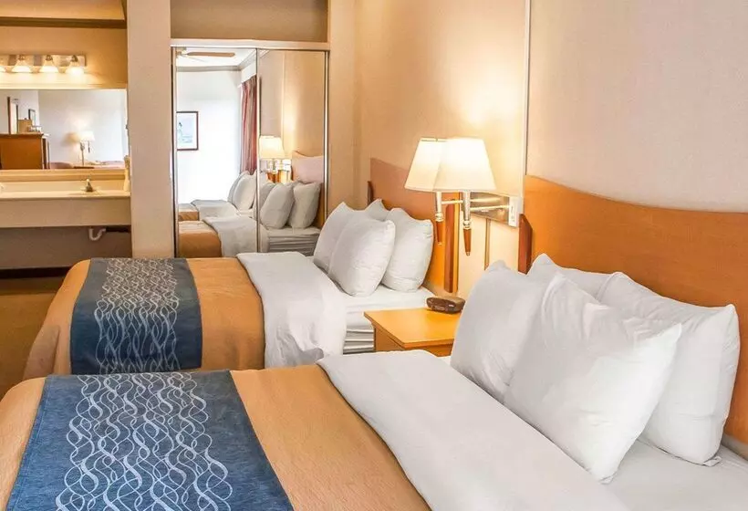 酒店 Comfort Inn & Suites Ocean Shores