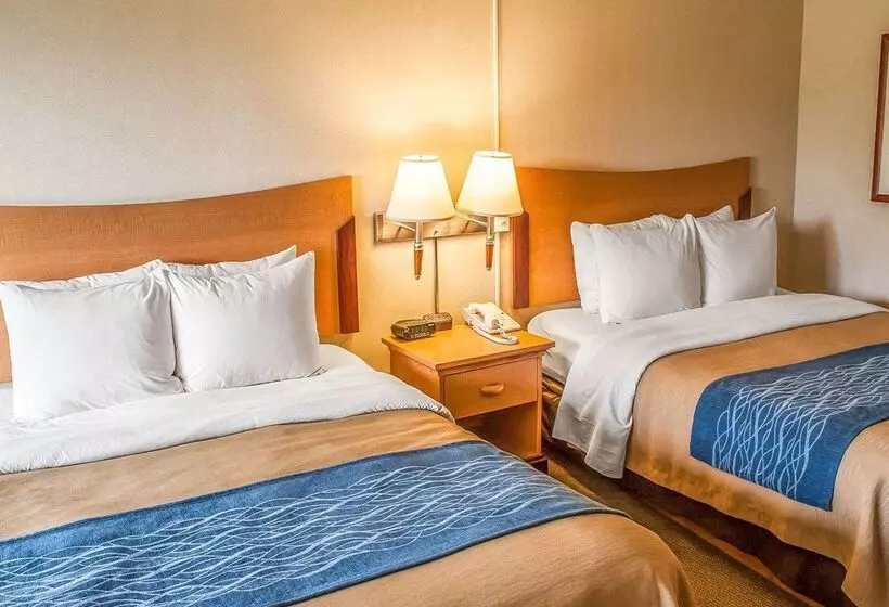 酒店 Comfort Inn & Suites Ocean Shores