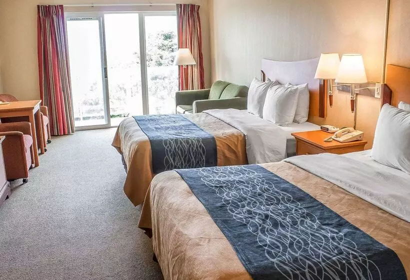 酒店 Comfort Inn & Suites Ocean Shores