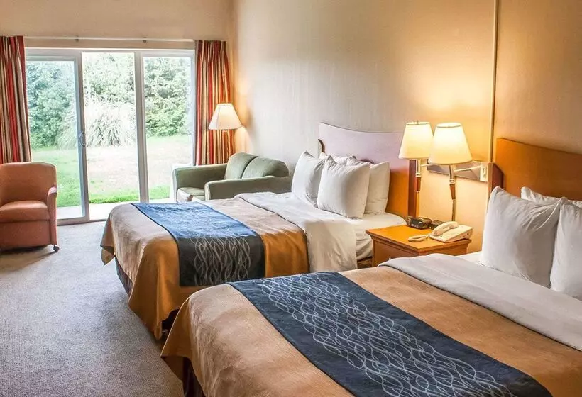 酒店 Comfort Inn & Suites Ocean Shores