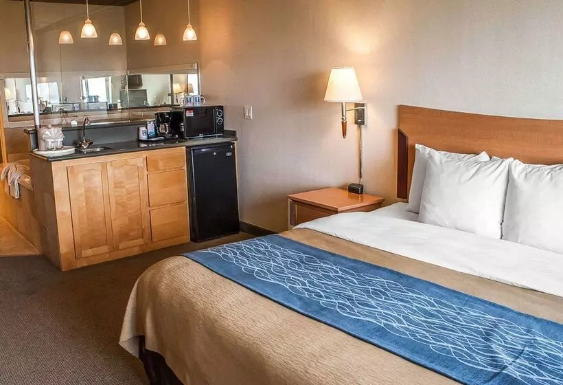 酒店 Comfort Inn & Suites Ocean Shores