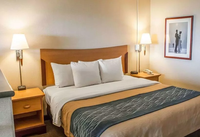 酒店 Comfort Inn & Suites Ocean Shores