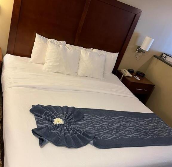 בית מלון כפרי Comfort Inn & Suites Ocean Shores